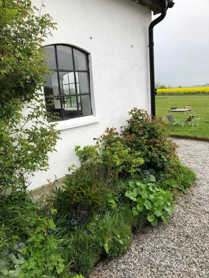 Raevakra B&B Hammenhög エクステリア 写真