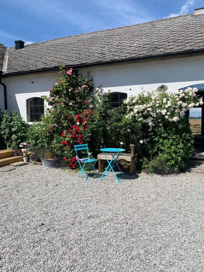 Raevakra B&B Hammenhög エクステリア 写真