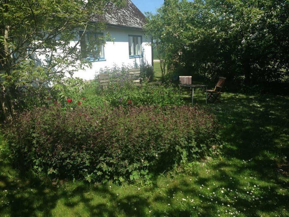 Raevakra B&B Hammenhög エクステリア 写真